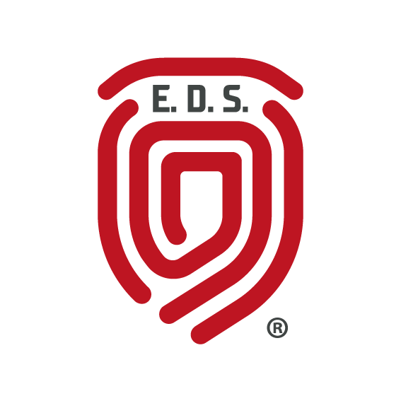 Seguridad en L&iacute;nea